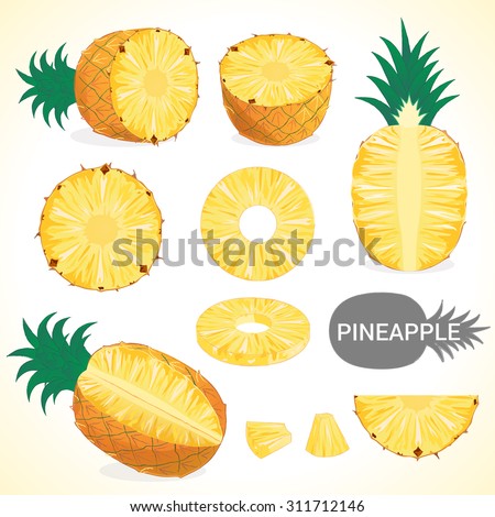 Set of pineapple fruit in various styles vector format