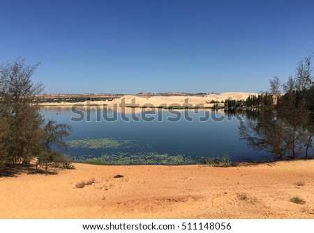 Sand dunes with green trees in Phan Thiet, Binh Thuan, southern Vietnam.