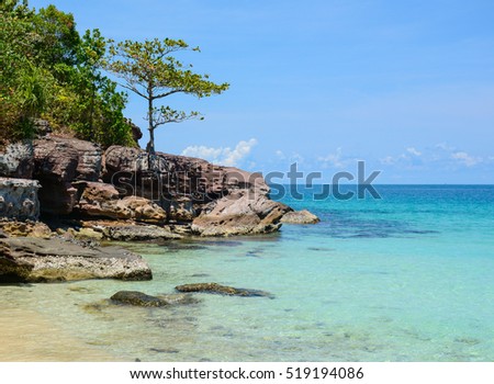 Idyllic tropical beach with green trees in sunny day