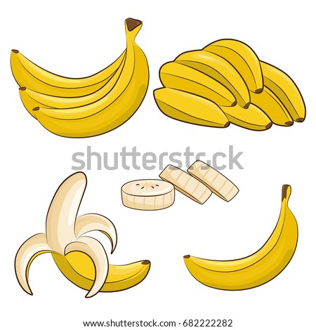 Vector fresh bananas. Peeled and sliced bananas, collection of sketch style vector illustration isolated on white background.