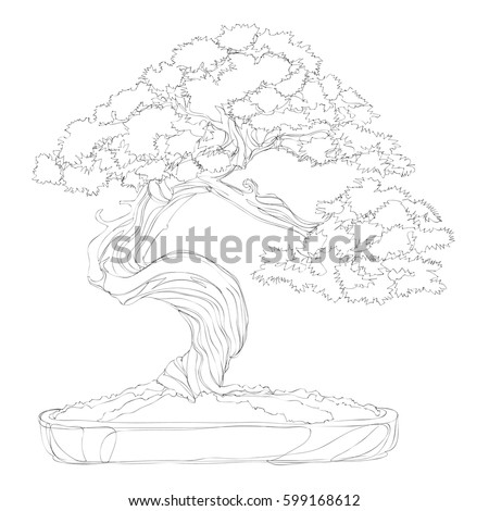 Beautiful Bonsai Traditional Line Art Continuous Stock Vector 599168612 ...