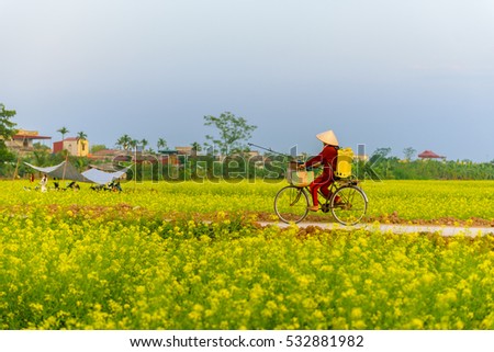 ThaiBinh, Viet Nam, december, 7, 2016: a woman cycling on Council reform at Thai Binh, Viet Nam