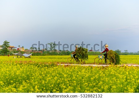 ThaiBinh, Viet Nam, december, 7, 2016: two woman cycling on Council reform at Thai Binh, Viet Nam