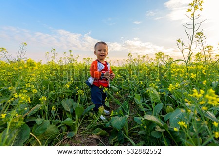 ThaiBinh, VietNam, december, 07, 2016: a boy on contract Flower reform at Thai Binh, Viet Nam