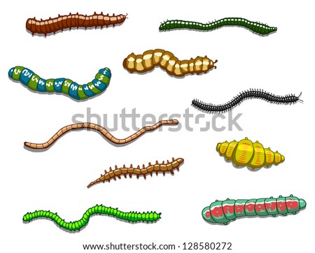 Maggot Stock Photos, Images, & Pictures | Shutterstock