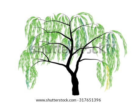 Willow Stock Photos, Royalty-Free Images & Vectors ...