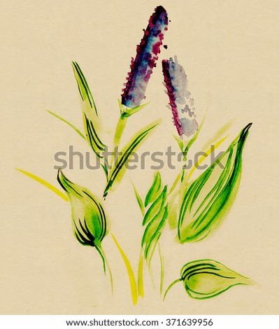 Angiosperme Stock Photos Royalty-Free Images Vectors