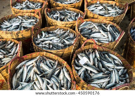 LONG HAI, VIETNAM - 03 JULY 2016: Fresh fish piled up in bamboo baskets at Long Hai fishing port, Ba Ria Vung Tau province
