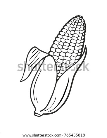 Corn Outline Vector Isolated On White Stock Vector 765455818 - Shutterstock