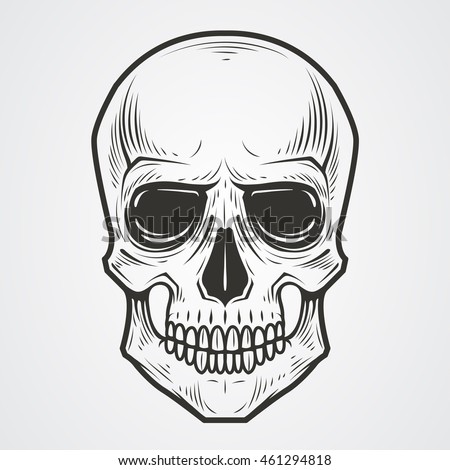 Skull Illustration Stock Vector 461294818 - Shutterstock