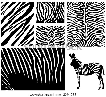 Zebra Face Stock Vector 3349784 - Shutterstock