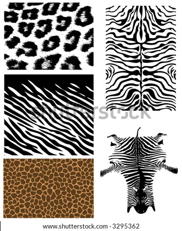 Zebra Face Stock Vector 3349784 - Shutterstock