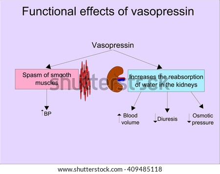Desmopressin Free Trial