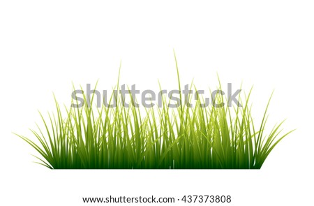 free grass vector