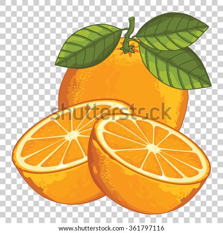 Orange vector isolated on transparent background