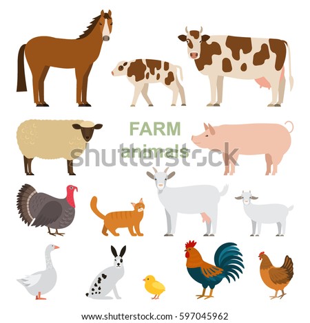 Barnyard Stock Images, Royalty-Free Images & Vectors | Shutterstock