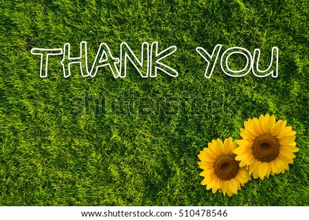 Writing Thank You On Card Ornamental Stock Photo 394380208 - Shutterstock