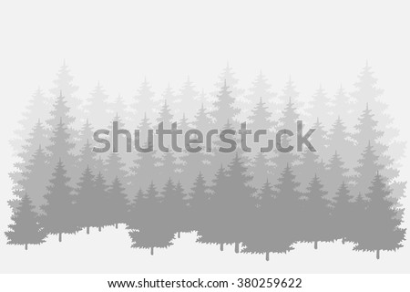 Misty pine forest. Vector background.