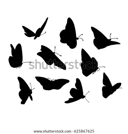 Download Vector Graphic Flying Butterflies Stock Vector 625867625 ...