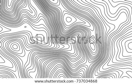 Topographic Map Contour Background Topo Map Stock Vector 737034868 ...