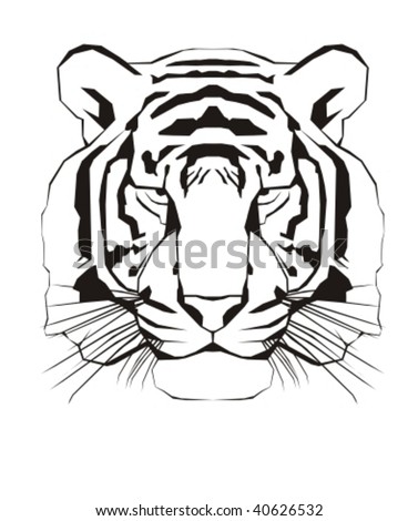 Tiger Angry Tiger Outline Stock Vector 166753736 - Shutterstock