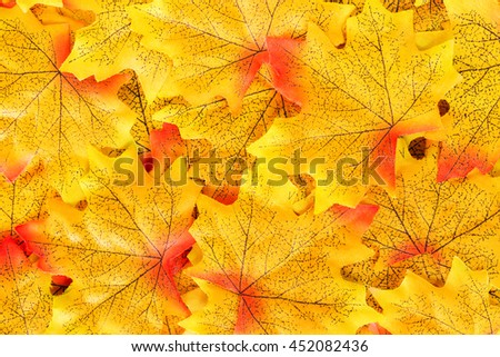 Autumn Leaves Background Stock Photos, Royalty-Free Images & Vectors