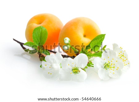 apricots