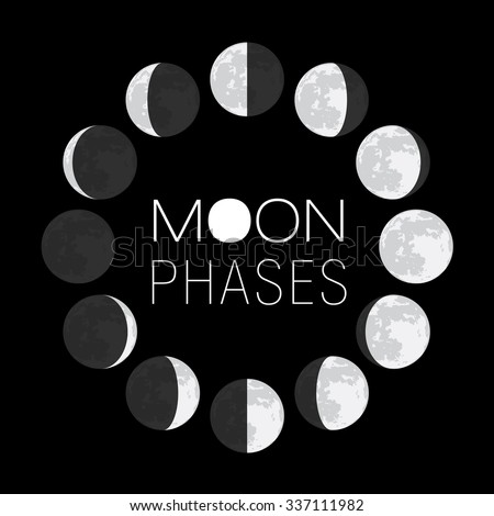 moon phases circle - stock vector