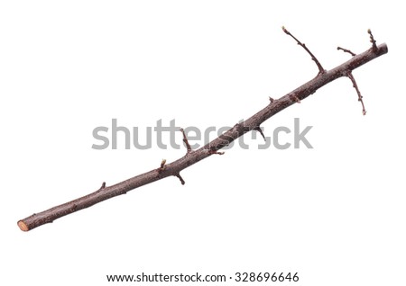 dry branch single personals Get dry leaves branch single shakes sound effect royalty-free stock music clips, sound effects, and loops with your audioblocks by storyblocks membership. dry branch single personals Get dry leaves branch single shakes sound effect royalty-free stock music clips, sound effects, and loops with your audioblocks by storyblocks membership.