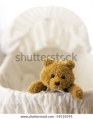 teddy bear bassinet