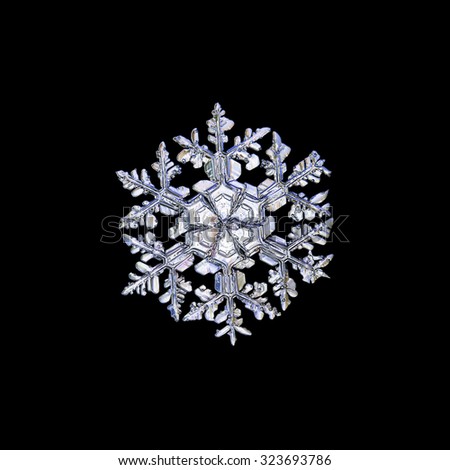 Real Snowflake Real Snowflake