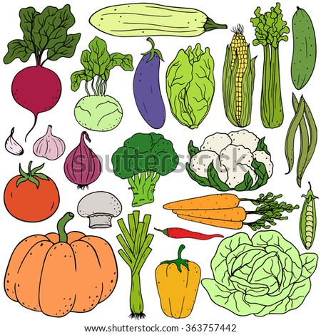 Vegetables Sketch Icons Farmer Market Vector Stock Vector 557705458 ...