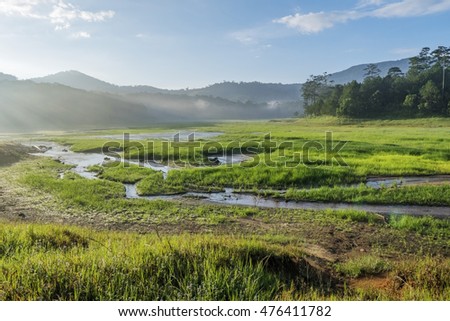 Nature at " Suoi Tia" area, Tuyen Lam lake, Da Lat city, Lam Dong province, Vietnam