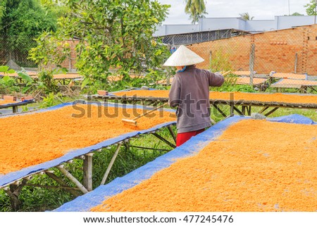 TAY NINH,VIETNAM - NOV 25, 2014:Tay Ninh chili shrimp salt (muoi tom),Vietnamese cuisine.Tay Ninh is famous for wholesale shrimp salt in Vietnam.This kind of salt is made of dried shrimp