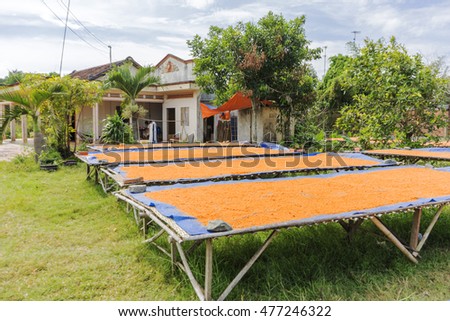 Tay Ninh chili shrimp salt (muoi tom), Vietnamese cuisine. Tay Ninh is famous for wholesale shrimp salt in Vietnam. This kind of salt is made of dried shrimp, then mixed with chili. It is quite spicy.
