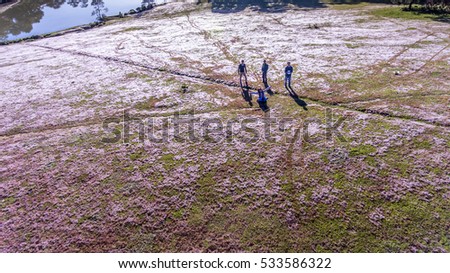 DA LAT, VIETNAM - NOV 20,2016: People on pink grass at Suoi Vang lake, Da Lat, Vietnam. ( view from drone )