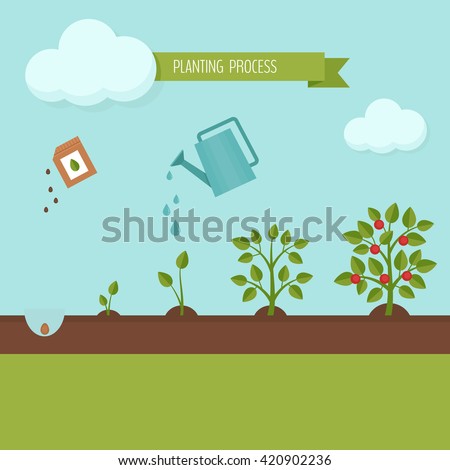 elements of planting design pdf
