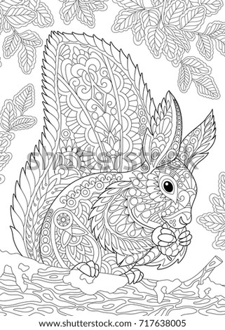 Coloring Page Of Squirrel Eating Pine Cone Freehand Sketch Drawing For Adult Antistress Book