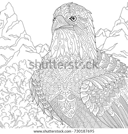 coloring page american bald eagle national stock vector