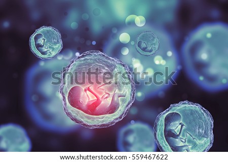 Human fetus on scientific background. 3d illustration