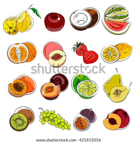 Set of sketch with summer fruits( grapefruit, lemon, lime, pear, watermelon, coconut, apple, apricot, peach, figs, grapes, strawberries, kiwi)