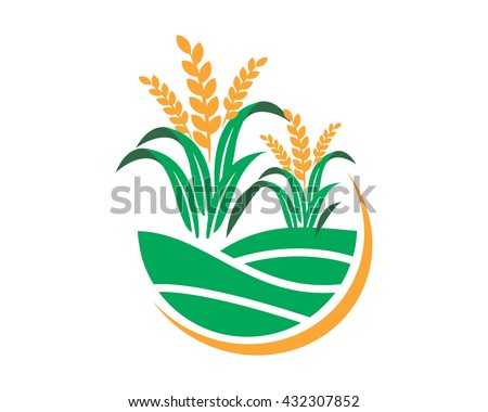 Paddy Wheat Icon 2 Stock Vector 432307888 - Shutterstock