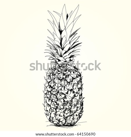 Pineapple Drawing Stock Images, Royalty-Free Images & Vectors