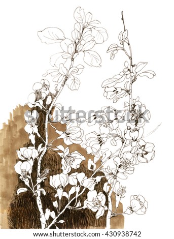 apple flowers watercolor hand drawn illustration on white background.
invitation card for wedding, birthday and other holiday or background