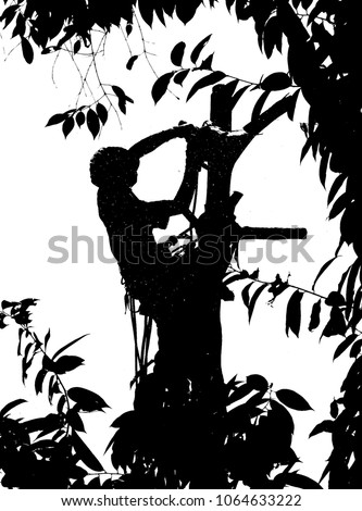 Arborist Stock Images, Royalty-Free Images & Vectors | Shutterstock