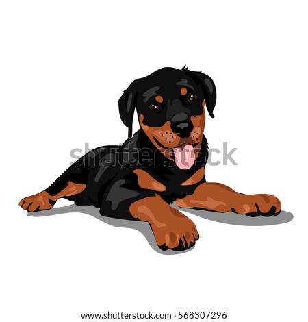 Cute Rottweiler Cartoon Stock Images, Royalty-Free Images & Vectors ...