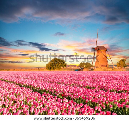 Dutch Windmill Stock Images, Royalty-Free Images & Vectors | Shutterstock