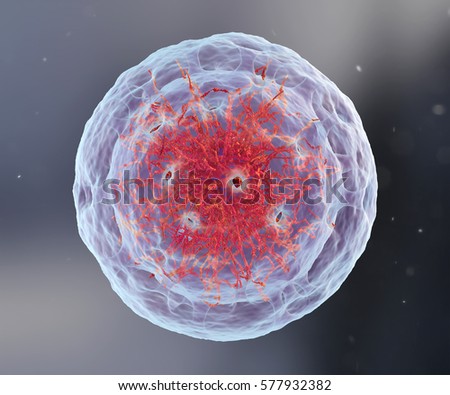 Chromatin Stock Images, Royalty-Free Images & Vectors | Shutterstock