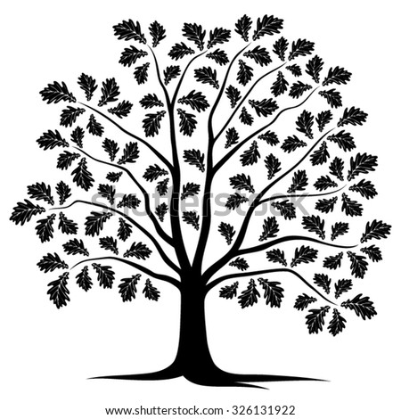 Vector Oak Tree Isolated On White Stock Vector 326131922 - Shutterstock