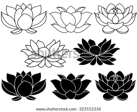 Lotus Stock Photos, Images, & Pictures | Shutterstock